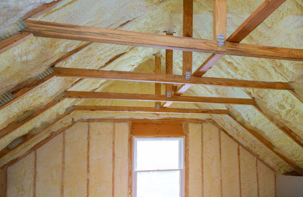 Best Cellulose Insulation  in Royalton, IL